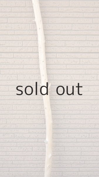 画像3: 棒流木・長尺 (3)