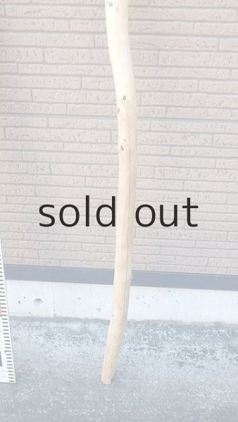 画像5: 棒流木・長尺 (5)