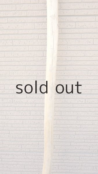 画像3: 棒流木・長尺 (3)