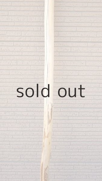 画像3: 棒流木・長尺 (3)