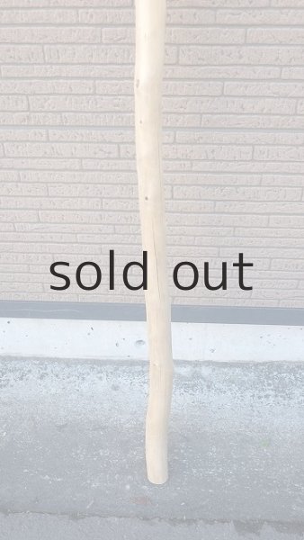 画像2: 棒流木・長尺 (2)