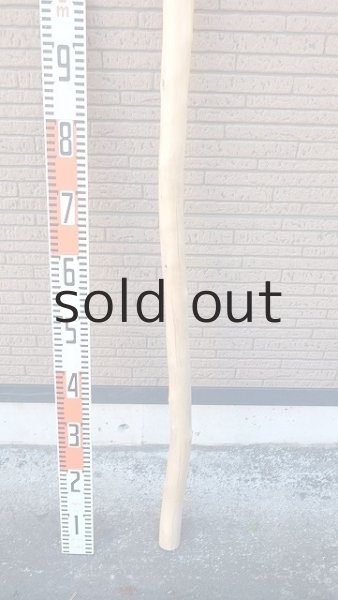 画像5: 棒流木・長尺 (5)