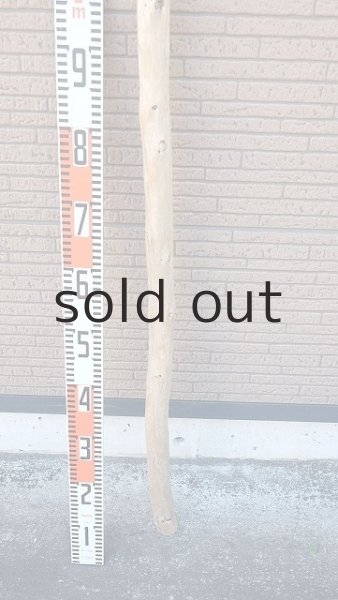 画像5: 棒流木・長尺 (5)