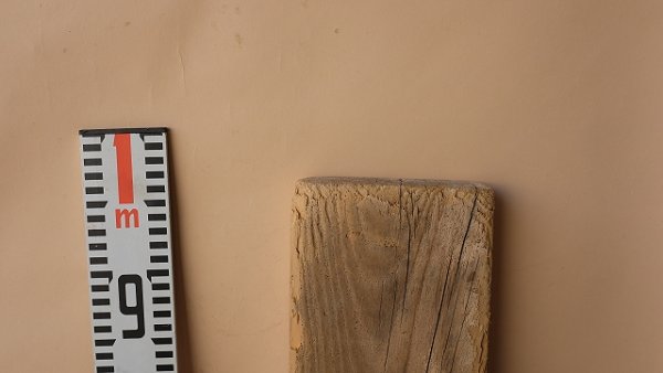 画像6: 板流木 (6)