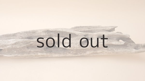 画像6: 変形流木 (6)