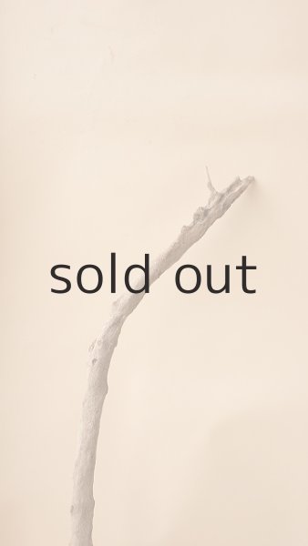 画像5: 流木根 (5)