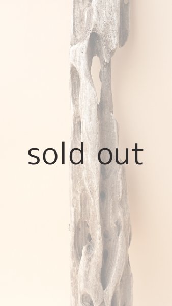 画像3: 変形流木 (3)