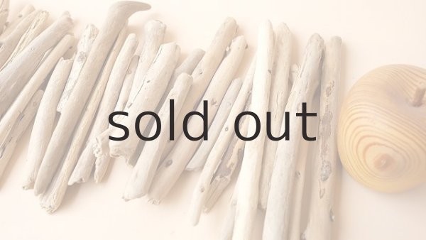 画像6: 棒流木セット (6)