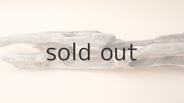 画像5: 変形流木 (5)