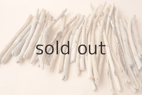 画像2: 棒流木セット (2)