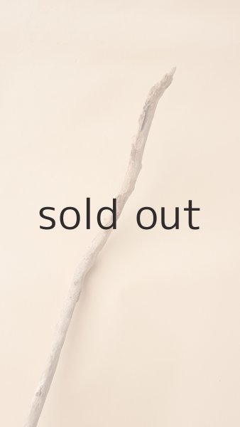 画像4: 流木根 (4)