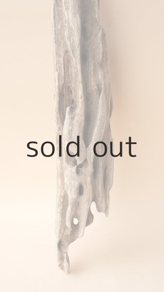 画像2: 変形流木 (2)