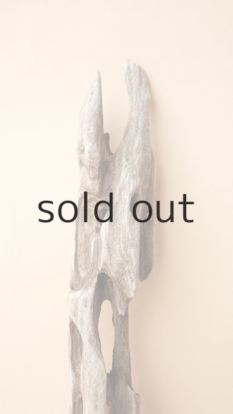 画像4: 変形流木 (4)