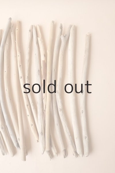 画像4: 棒流木セット (4)