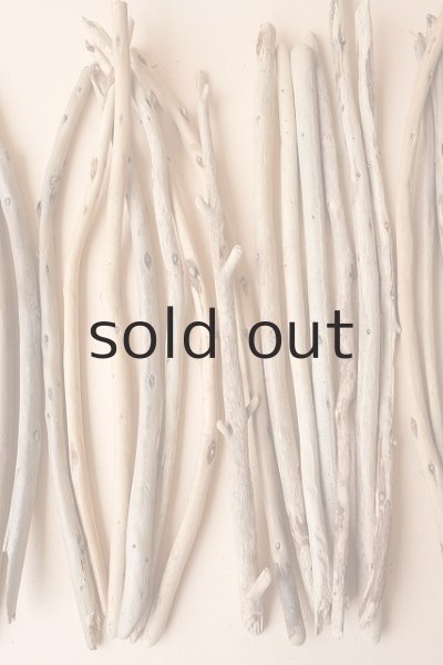 画像3: 棒流木セット (3)