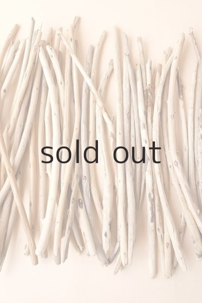 画像3: 棒流木セット (3)