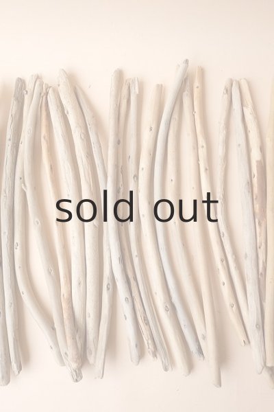 画像3: 棒流木セット (3)