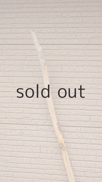 画像4: 棒流木・長尺 (4)