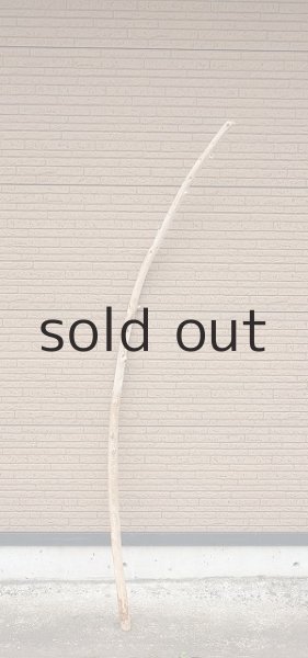 画像2: 棒流木 (2)