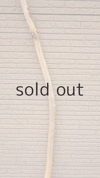 画像3: 棒流木・長尺 (3)