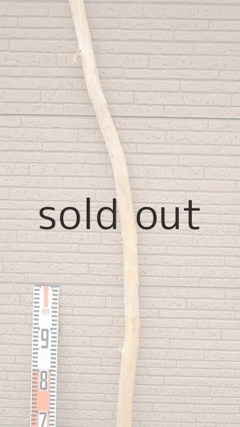 画像7: 棒流木・長尺 (7)