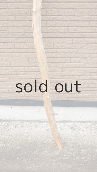 画像2: 棒流木・長尺 (2)