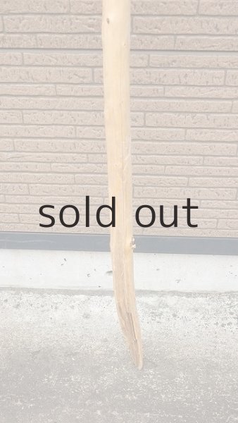 画像2: 棒流木・長尺 (2)