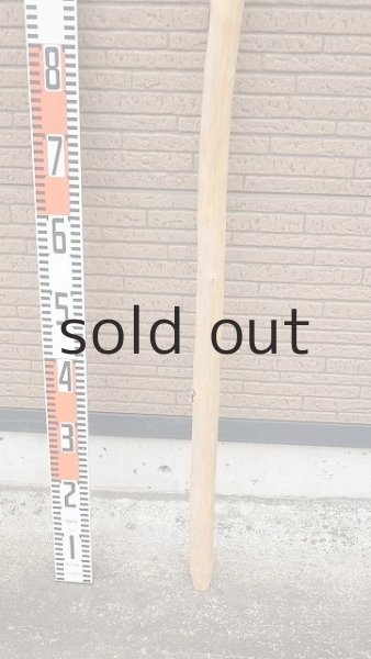 画像6: 棒流木・長尺 (6)