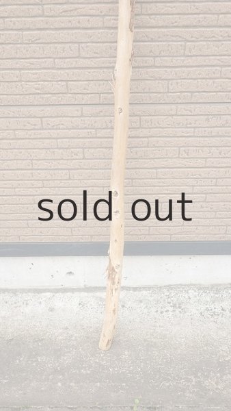 画像2: 棒流木・長尺 (2)