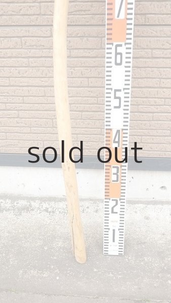 画像5: 棒流木・長尺 (5)