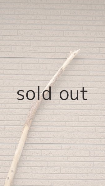 画像4: 棒流木・長尺 (4)