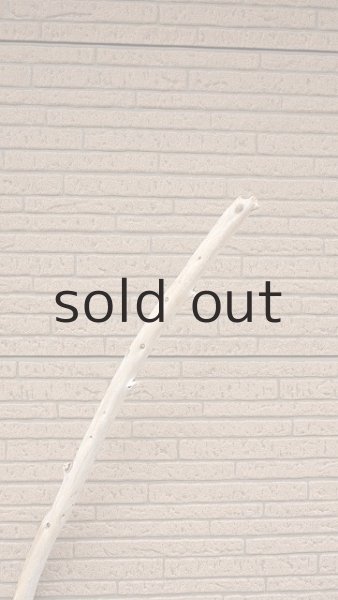 画像4: 棒流木 (4)