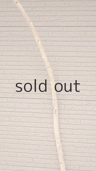 画像4: 棒流木・長尺 (4)