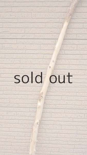 画像3: 棒流木・長尺 (3)