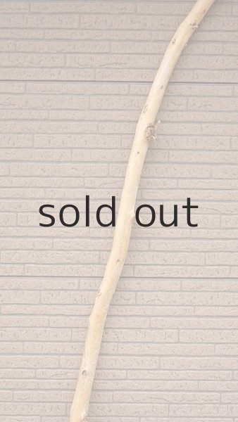 画像3: 棒流木・長尺 (3)