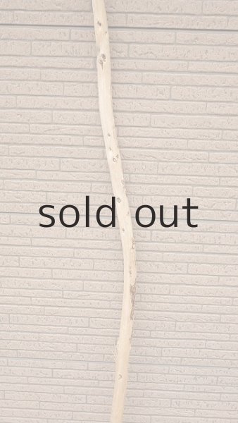 画像3: 棒流木・長尺 (3)