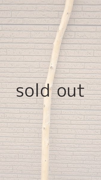 画像4: 棒流木・長尺 (4)