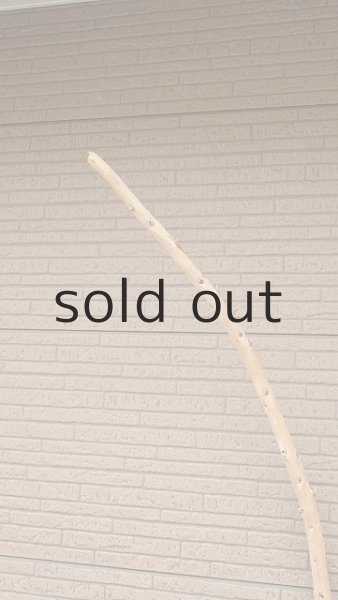 画像5: 棒流木・長尺 (5)