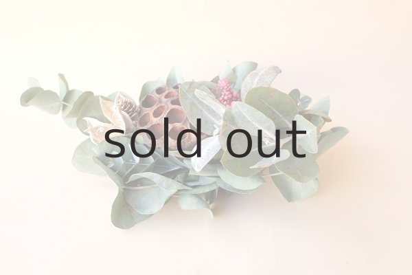 画像2: Dry plants for decor ユーカリクリスマスアレンジ用オブジェ(置きタイプ) (2)