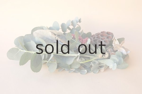 画像2: Dry plants for decor ユーカリクリスマスアレンジ用オブジェ(置きタイプ） (2)