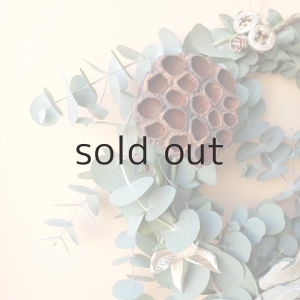 画像3: Dry plants for decor ユーカリクリスマスアレンジ用オブジェ(壁掛けタイプ) (3)