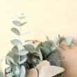 画像2: Dry plants for decor ユーカリクリスマスアレンジ用オブジェ（壁掛けタイプ） (2)