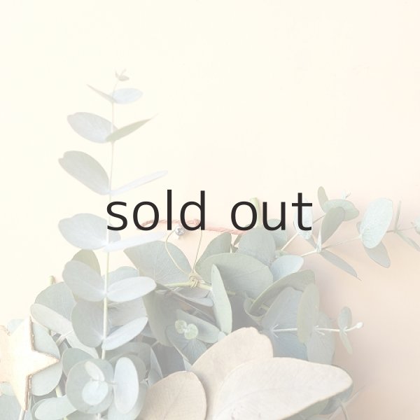 画像2: Dry plants for decor ユーカリクリスマスアレンジ用オブジェ(壁掛けタイプ) (2)