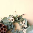 画像2: Dry plants for decor ユーカリクリスマスアレンジ用オブジェ（壁掛けタイプ） (2)