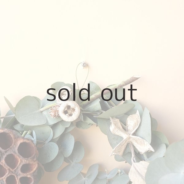 画像2: Dry plants for decor ユーカリクリスマスアレンジ用オブジェ(壁掛けタイプ) (2)