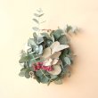 画像1: Dry plants for decor ユーカリクリスマスアレンジ用オブジェ（壁掛けタイプ） (1)