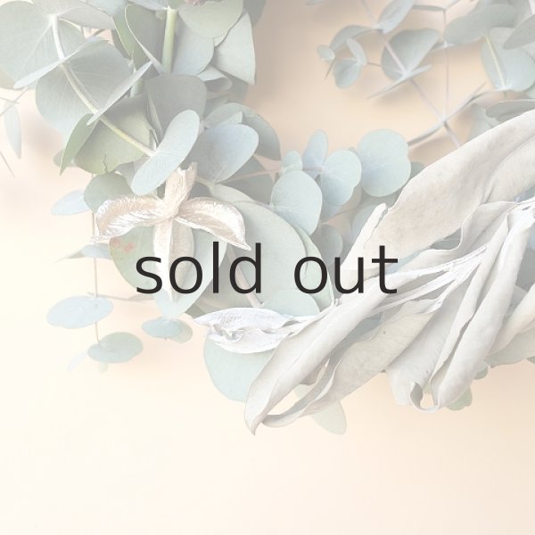 画像4: Dry plants for decor ユーカリクリスマスアレンジ用オブジェ(壁掛けタイプ) (4)