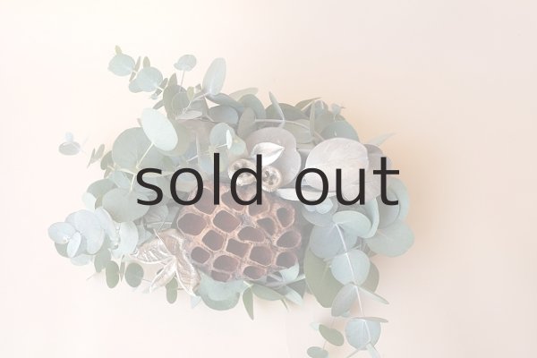 画像2: Dry plants for decor ユーカリクリスマスアレンジ用オブジェ(置きタイプ） (2)