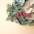 画像3: Dry plants for decor ユーカリクリスマスアレンジ用オブジェ（壁掛けタイプ） (3)