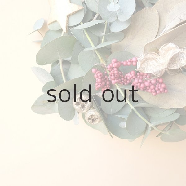 画像3: Dry plants for decor ユーカリクリスマスアレンジ用オブジェ(壁掛けタイプ) (3)